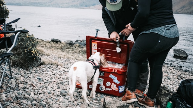 glacières pour le camping