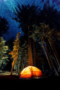 camping en forêt la nuit