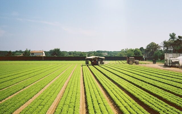 start-ups agricoles