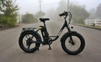 vélos électriques