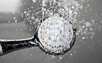 pommeau de douche