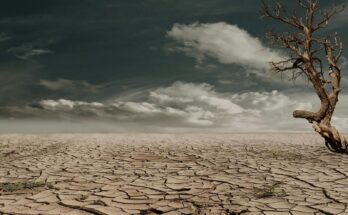 changement climatique