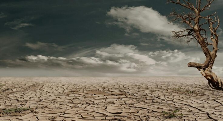 changement climatique